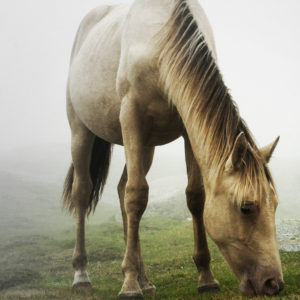 rencontre decroissant