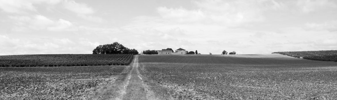 Castelnau-de-Montmiral-Champs-et-vignes