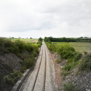 Lignes – Castelnau de Montmiral (Tarn) 20x30cm