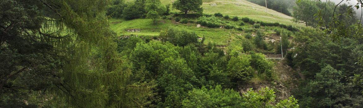 Ferme-Basque-Cauterets-©IsabelleFraysse