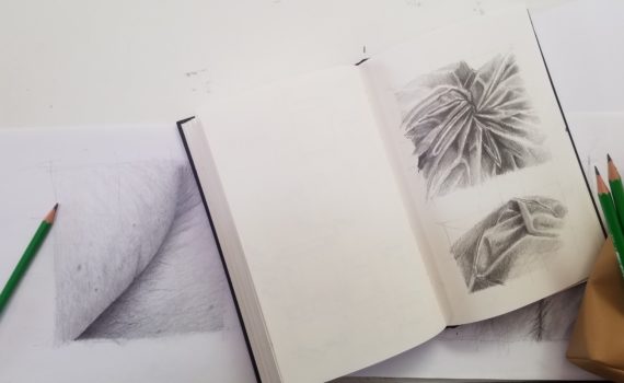 Dessin d'observation, crayon gris.