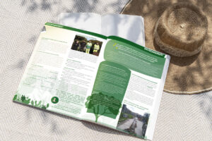Illustrations sur mesure pour le bulletin municipal de la ville de Sorèze 2022.