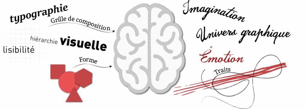 Illustration en deux parties autour d’un cerveau, symbolisant la complémentarité entre rigueur graphique (typographie, grille, hiérarchie visuelle) et créativité sensible (imagination, émotion, univers graphique) dans la conception d’un logo.