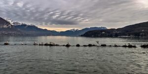 Oiseaux posés sur des rochers dans le lac d’Annecy gris argenté.