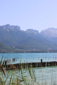 Lac d’Annecy bleu turquoise derrière les roseaux et les pieux de bois.